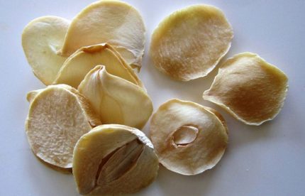 موسیر